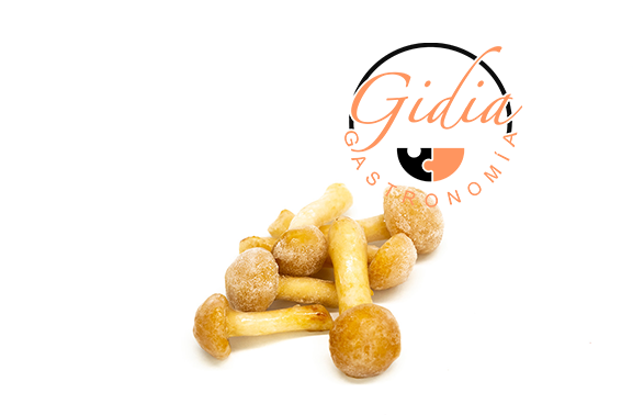 Nameko Gidia 1 Kg ❄