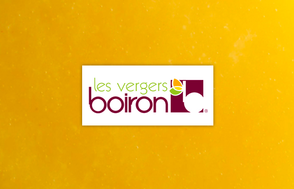 Puré de Piña Boiron | 1Kg ❄