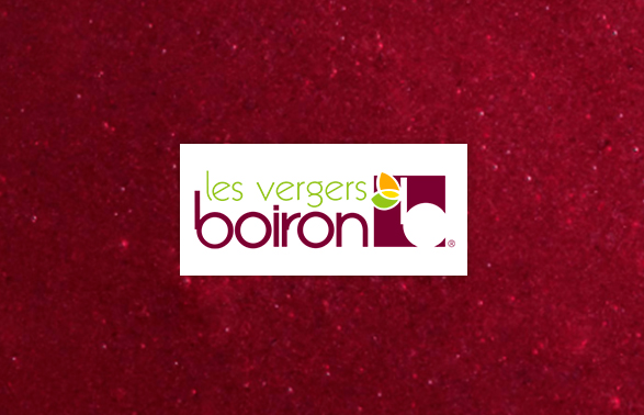 Puré de Arándano Boiron | 1Kg ❄